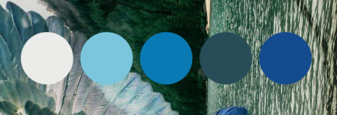 Color scheme for album design