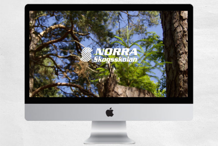 Norra video intro animation and sound post mortem