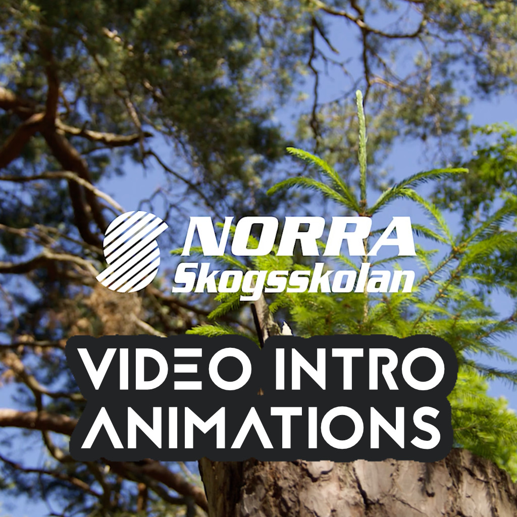 Norra - Video intro animation and sound post mortem