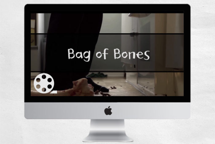 Bag Of Bones
