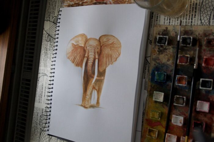 Elephant Elephant watercolor painting